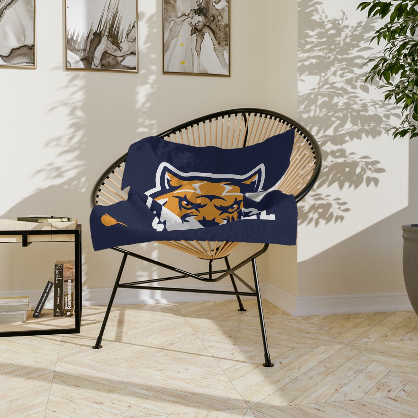 Baseball Blanket — Stony Point Tigers Velveteen Microfiber Throw